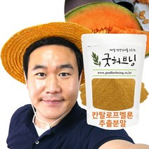 칸탈로프 멜론 가루 분말 추출물 칸탈 로푸 루프 250g 굿허브닝, 250g x 1팩, 1개