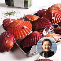 [맛딜]산지직송! 쫄깃달콤 통영 홍 가리비 3kg, 단품