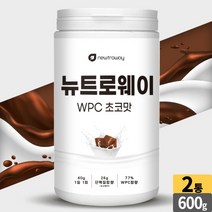 WPC 초코맛 단백질 파우더 쉐이크 농축유청단백분말 효소처리 스테비아 스푼 동봉, 2개, 600g
