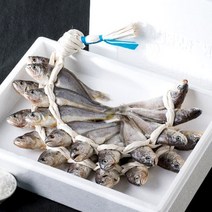 [특산물] 영광법성포 참굴비 산지직송 1.1kg20미 2.2kg40미 영광굴비, 1box, 법성포 참굴비1.1kg20미