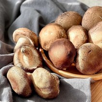 버섯지기 무농약 굿뜨래 표고버섯 1kg, 향고 1kg