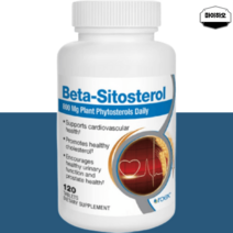 베타시토스테롤 폴리페놀 피토스테롤 로엑스 200mg 120정, 로엑스 베타시토스테롤 200mg 120정