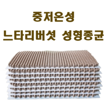 무농약느타리성형종균607구