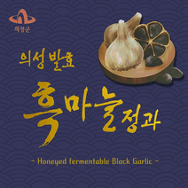 한솔家 흑마늘정과/액기스, 의성흑마늘 진액(30포)