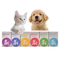 뉴플렉스 골드 강아지 고양이 영양제 심리안정 관절 눈 포스트바이오틱스 면역개선 파우더 50g 70g, 6포스트바이오틱스_장건강 70g