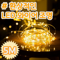 당신의 감성 실내 정원 캠핑 꾸미기 LED 와이어 줄 조명 전구 1m 2m 3m 5m, 5M 50구