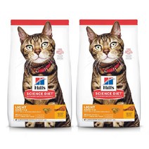힐스 고양이 어덜트 라이트 2kg x 2개, 1세트