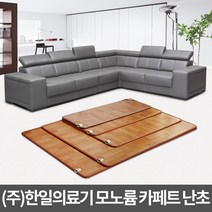 한일의료기 온돌마루 카페트매트 난초(183×100), 183*100cm