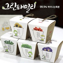 그린패밀리_잔디화분, 02_마마의 허브(바질)