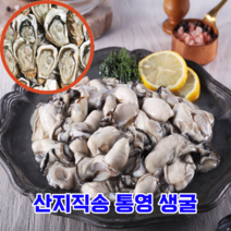 [계절식탁] 영양 만점 산지직송 통영 생굴 하프쉘 깐굴, 5kg