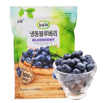 [뉴뜨레] 냉동 블루베리홀 1kg, 단품