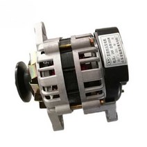 원예 농업용 기계 수월한 작업 순수 구리 농업 세발 자전거 트랙터 12V/24V 고전력 영구 자석 AC 및 DC 이중 발전기, [02] 12V double head, 고전력 12V 더블 헤드