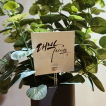 오즈디 꽃 화분소화기 명절 스승의날 선물 화병 꽃병 화초 축하용품, 추가상품-메시지카드[대박나세요]