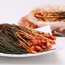 전라도 파김치 10kg 허니데이 보성 쪽파 김치 판매