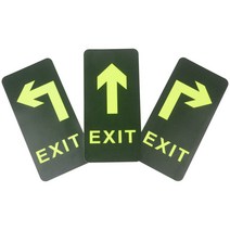 부착식 축광 표시판 EXIT, 제품선택, 직진