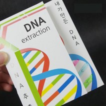 식풀세포 DNA 추출 실험 과학 교구 10인 과학교구, 단일 수량