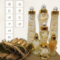 인삼주 꽃인삼주 인삼 꽃 주 만들기 인삼주 선물 세트 400mL 500mL 1L 1.5L 1.6L 1.8L 2L 3L, 꼬마병, 매화꽃
