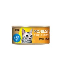 프로베스트 캣푸드 80g 24개입 고양이캔, 참치와 연어