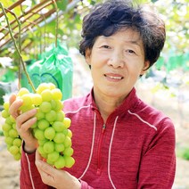 삿갓유통 맛에 감탄하는 샤인머스켓 2kg 3-4송이 최상품 망고포도, 2kg (중품), 1박스