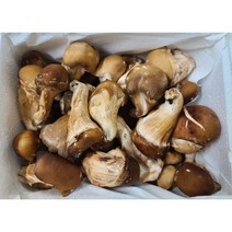 [뉴바스락삑삑버섯] 치악산 산지직송 건표고버섯 말린표고 마른표고버섯 통표고, 통표고 500g