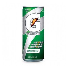 30캔 보충 수분 해소 섭취 게토레이캔 게토래이 갈증 게토레이 캔음료수 스포츠