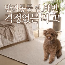 북유럽 모던 먼지없는 오염방지 거실 주방 방수 러그 반려동물 미끄럼방지 카페트