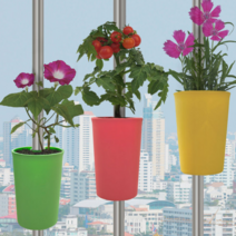 수직기둥걸이 화분, 분홍색