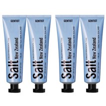 아모레 젠티스트 솔티 치약 100g 2입 x 2개