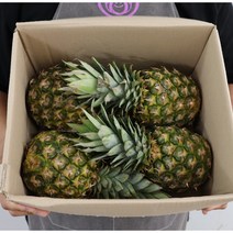 직수입 고당도 파인애플 4수 5kg내외, 1개