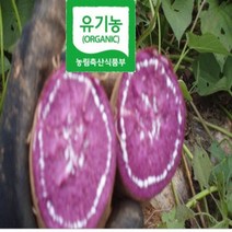 [ 해야농장 ] 특품 유기농자색 해수 고구마 친환경 3kg. 5kg 10kg KBS 한국의밥상방송 481회 인간극장방송 등, 1box, 유기농 자색 고구마 꼬맹이 3kg