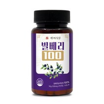 빌베리100 정 500mg x 100정 HACCP, 1개, 500mg*100정