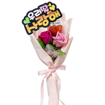 초콜릿꽃다발 킨더요정꽃다발 비누꽃다발 재롱잔치 발표회 유치원 졸업식 선물 꽃다발, 03_우리딸사랑해, 02_핑크