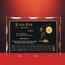 [알리다상패] 골프 싱글패 이글패 홀인원패 골프트로피제작 골프패 DS20-19