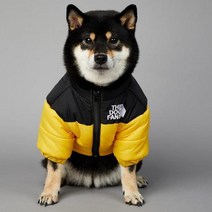 2023 SUPREPET패딩 개 겨울 옷 따뜻한 방풍 솔리드 코트 코튼 디자이너 대형 강아지 액세서리, YELLOW+L