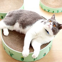 애구애구 고양이 스크래쳐, 05_선인장써클 스크래쳐 S