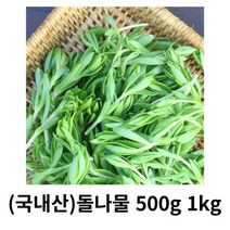 돈나물 500g 1kg 2kg 국내산 산지직배송 돗나물 돌나물 봄나물 아삭아삭 새콤달콤 쌉싸름 돌나물물김치 나물무침 돈나물, 1box