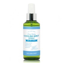 아로마 힐링 쿨링 민트 스프레이 미스트 150ml