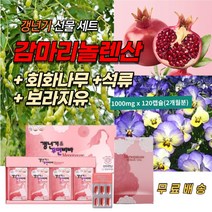 회화나무 열매 감마리놀렌산 갱년기 50대 여성 영양제루틴 퀘르세틴 함유 골다공증 안면홍조 건망증 불면증 눈 근육 건강 에좋은 아내 결혼 기념일 부모님 효도 선물 식약처인증 건강식품