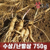(삼화원) 금산인삼5 6년근 수삼 난발삼 원수삼 세척무료750g, 일반, 난발 대 750g (6~8뿌리)