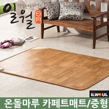 [일월] 전기매트 카페트매트 모음, 더마루플러스/140 RF17D(140cmX183cm)