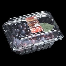 태방샵 공식쇼핑몰TB-101-1k (포도1kg)과일 야채 채소 포장재 필름 봉투 용기 PE OPP PET, 1개, 1개