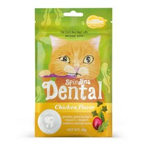 캣템 덴탈솔루션 고양이 치석관리 치아영양제 입냄새 구강케어 간식 10개 묶음, 비프10개