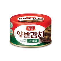 양반캔김치 갓김치 160g (12캔), 단품