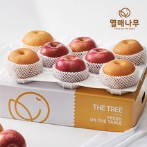 [열매나무]행복담은 과일세트 1호[사과4과+배4과] 3.5kg, 없음