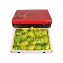 삼다몰 제주 황금향 3kg 5kg, 1박스, 황금향(대) 3kg(14~16과)