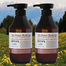 바이오디톡 DTOX 기능성 지성두피 정수리탈모 지루성두피 노니 샴푸, 2개, 500ml