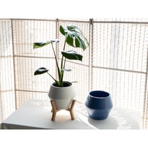 바른화분 유에프오화분 도자기화분 UFO 빈 사기 가벼운 소형 중형 대형 우드스탠드포함, 핑크