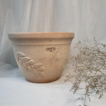올리브 토분, 23 cm