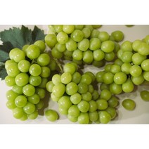 노크팜 고당도 프리미엄 샤인머스켓 가정용 추석 명절 선물 수출용 망고포도, 2kg(가정용), 1개