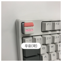 포인트 키캡 esc 디저트, 우유(곽)